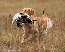 20141004-wcxl-0372