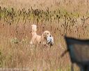 20141004-wcxl-0414