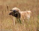 20141004-wcxl-0429