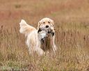 20141004-wcxl-0461