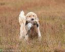20141004-wcxl-0462