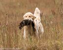 20141004-wcxl-0480