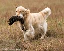 20141004-wcxl-0485