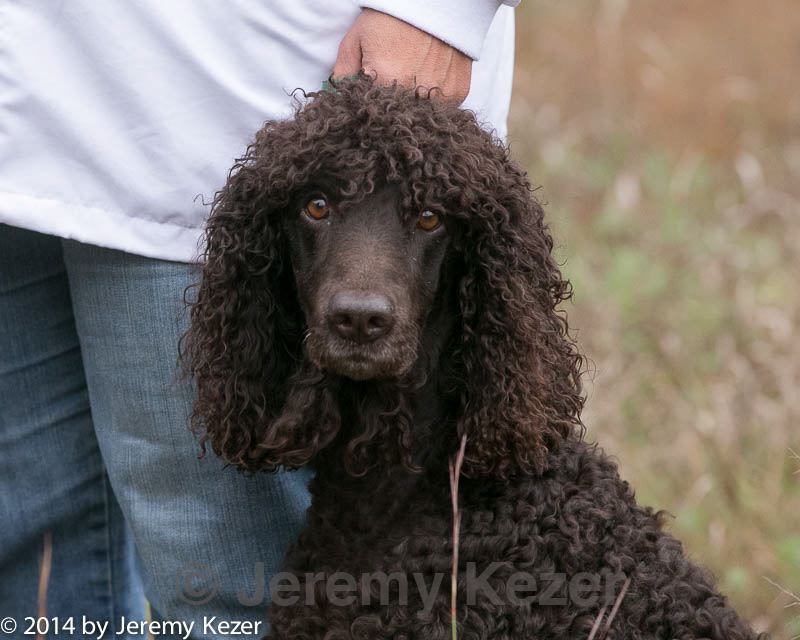 20141004-wcxl-0136.jpg