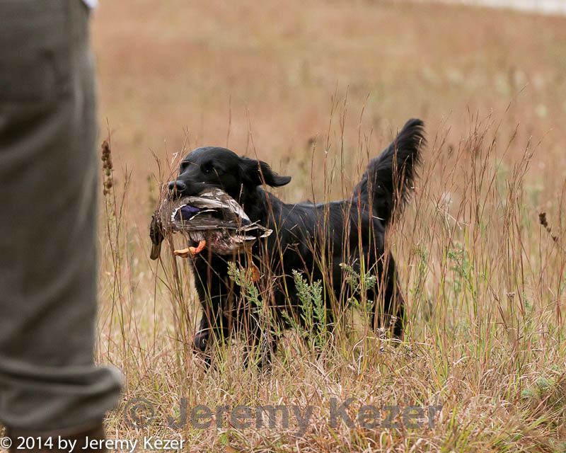 20141004-wcxl-0311.jpg