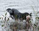 20141004-wcxw-0038