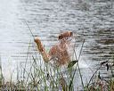20141004-wcxw-0096