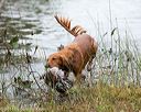 20141004-wcxw-0110