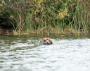20141004-wcxw-0117