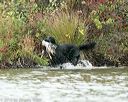 20141004-wcxw-0206