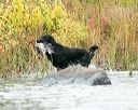 20141004-wcxw-0209