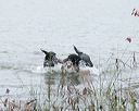 20141004-wcxw-0287