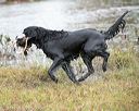 20141004-wcxw-0301