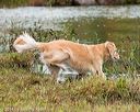 20141004-wcxw-0361