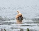 20141004-wcxw-0376