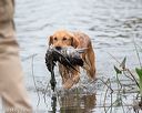 20141004-wcxw-0396