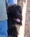 20150412-gshrc-0007