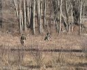 20150412-gshrc-0017