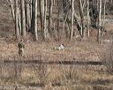 20150412-gshrc-0018
