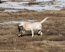 20150412-gshrc-0024