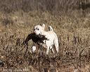 20150412-gshrc-0030