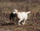 20150412-gshrc-0033