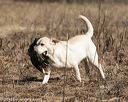 20150412-gshrc-0034