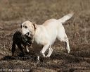 20150412-gshrc-0036