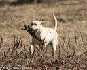 20150412-gshrc-0075