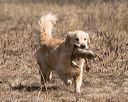 20150412-gshrc-0154