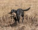 20150412-gshrc-0221