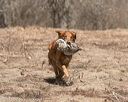 20150412-gshrc-0246