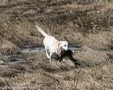 20150412-gshrc-0267