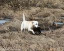 20150412-gshrc-0268