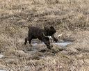 20150412-gshrc-0288