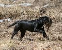 20150412-gshrc-0337