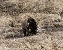 20150412-gshrc-0357