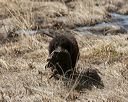 20150412-gshrc-0359