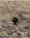 20150412-gshrc-0366