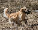 20150412-gshrc-0378