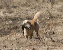 20150412-gshrc-0383