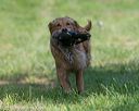 20150801-lrcgb-0590