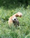 20150801-lrcgb-0952