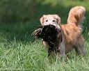 20150801-lrcgb-0984