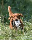 20150801-lrcgb-1053