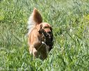 20150801-lrcgb-1111