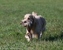 20150912-shrl-0228