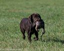 20150912-shrl-0267
