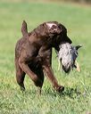 20150912-shrl-0320
