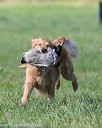 20150912-shrl-0406